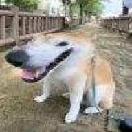 （─__─）