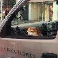 1202