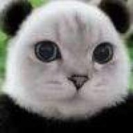 熊猫咪咪