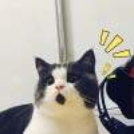 佐尼伏斯