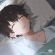 落絮无声花坠睡