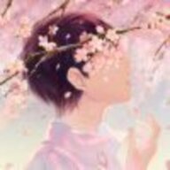 QWQQWQWQ