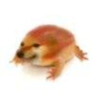斑蝥??? ???