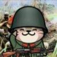 猫耳洞里的一只獭