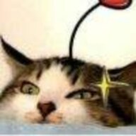 猫头老军师