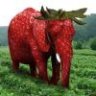 🍓🐘草莓大象