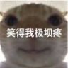 fcg1113