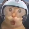 deepdink