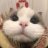鬻爩1