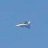 长空且为忠魂舞