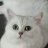 猴ttt