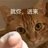 小怪兽